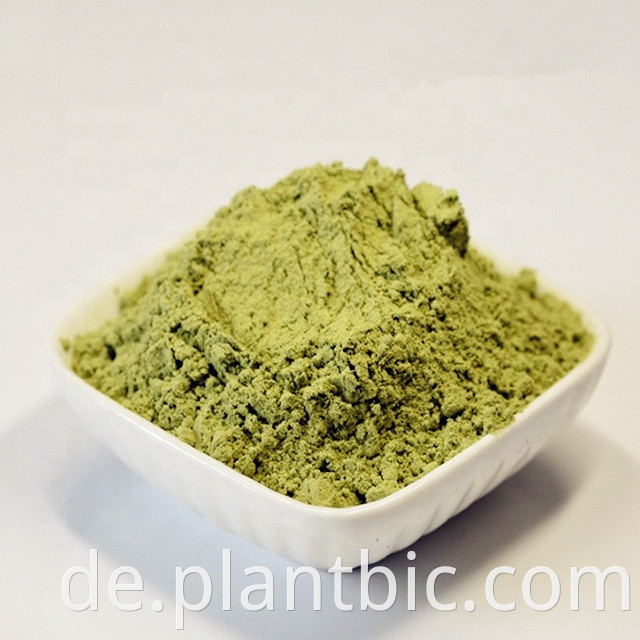 Broccoli Powder Freeze Dried Broccoli Powder Organic Broccoli Powder